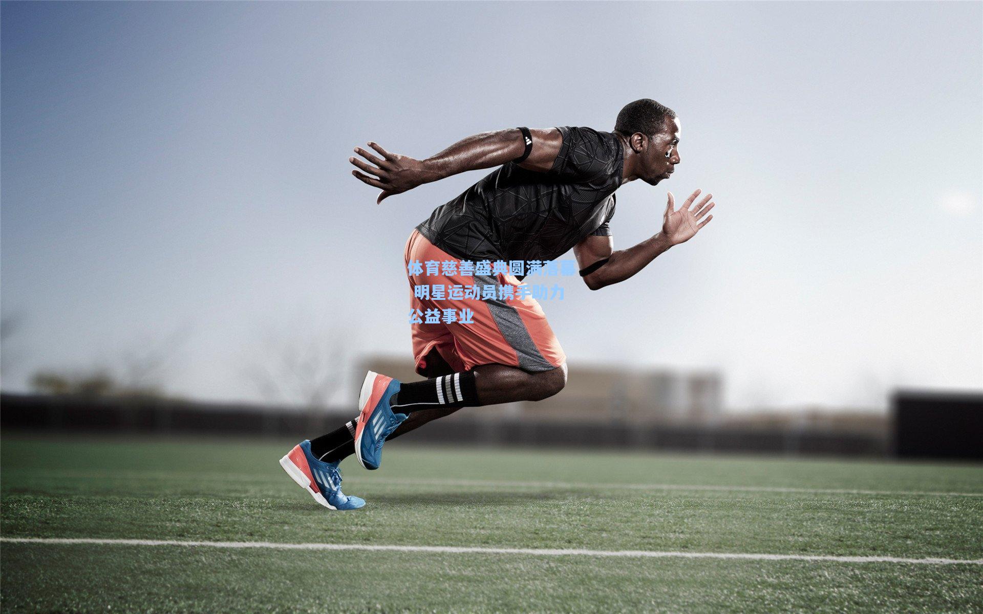 体育慈善盛典圆满落幕 明星运动员携手助力公益事业