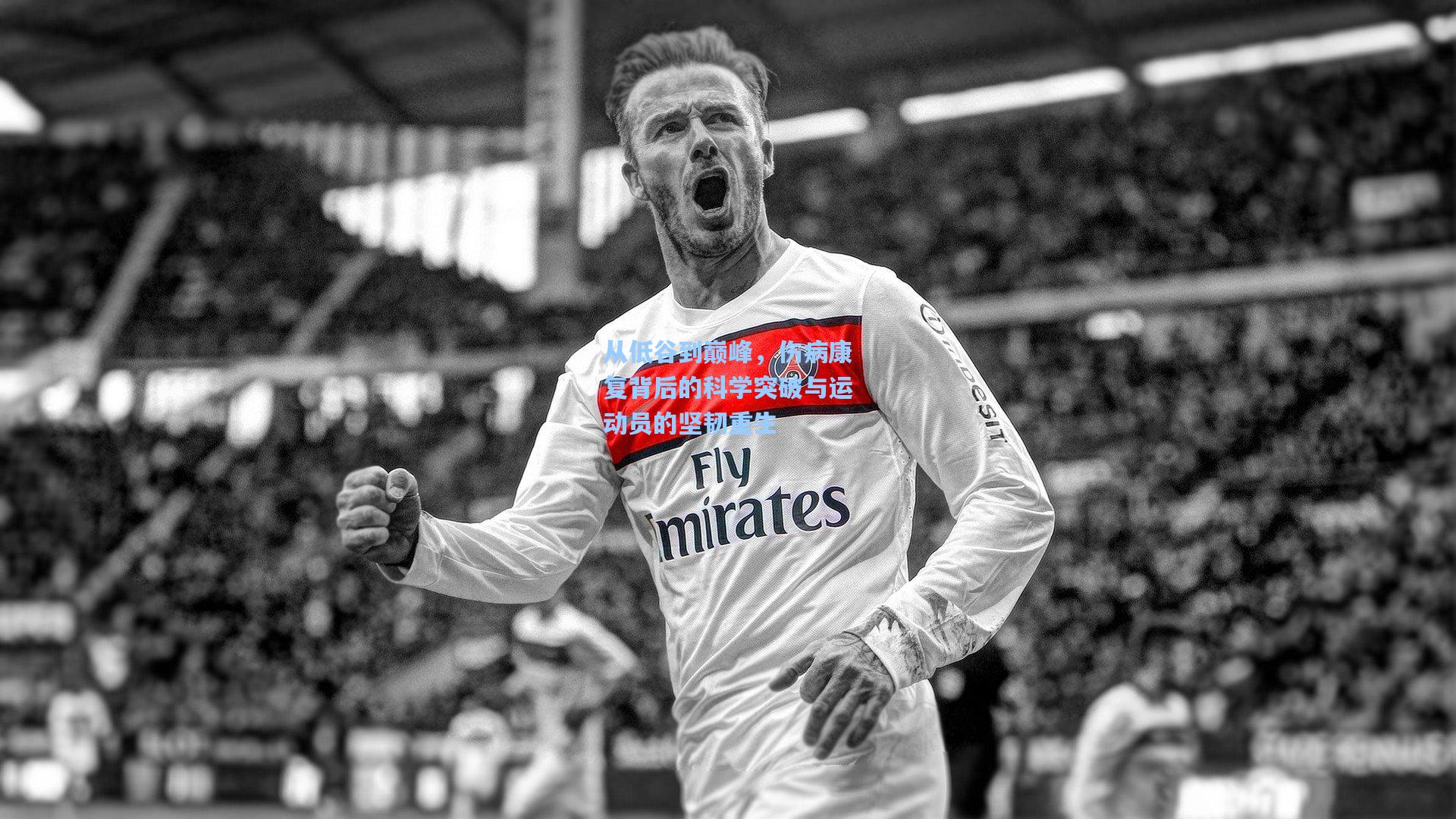 从低谷到巅峰,伤病康复背后的科学突破与运动员的坚韧重生