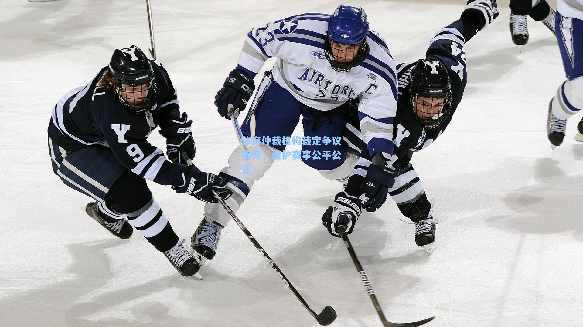 体育仲裁机构裁定争议案件,维护赛事公平公正